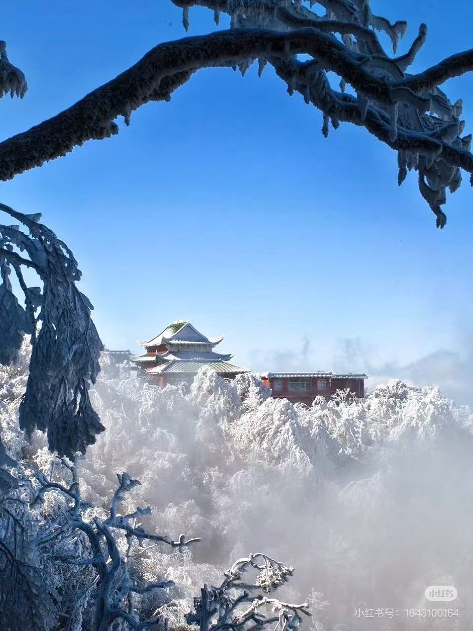 郴州租車(chē)/包車(chē)23座