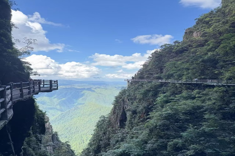 郴州租車(chē)/包車(chē)|一篇看懂：怎么選、不被坑！