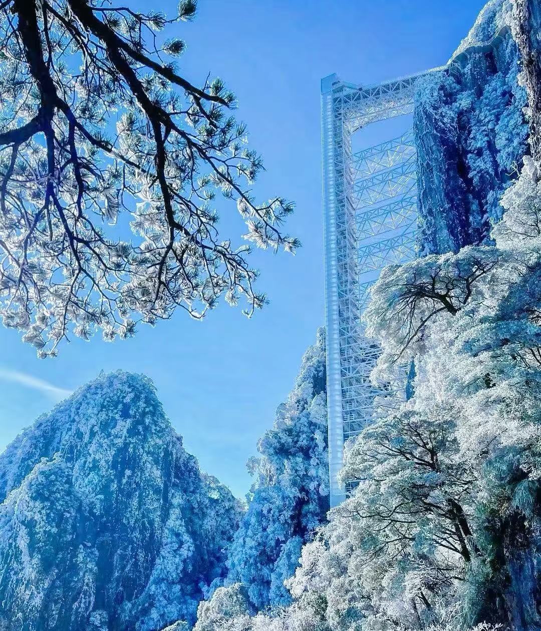 郴州旅游租車(chē)/包車(chē)34座