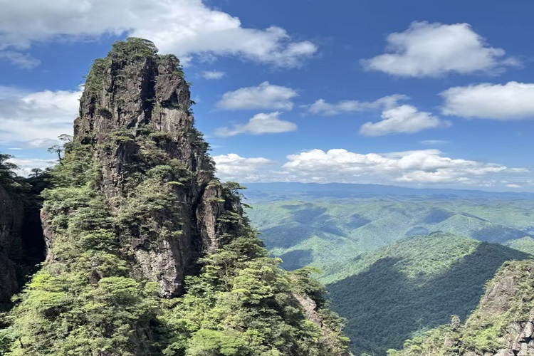 郴州四天三晚莽山五指峰+東江湖+飛天山+白廊+蘇仙嶺+裕后街