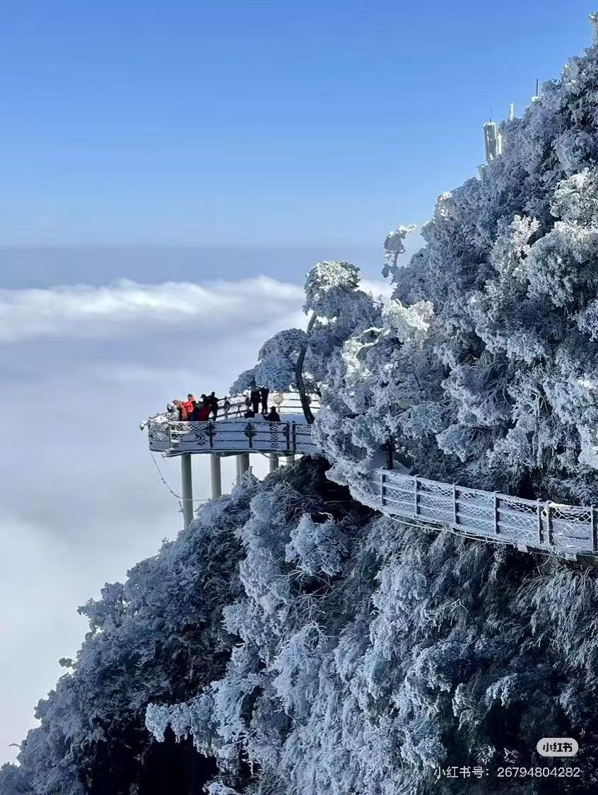 郴州租車(chē)/包車(chē)35座